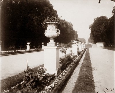 Saint Cloud by Eugène Atget